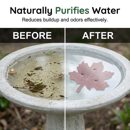 🌿Universal Fit Bird Bath Cleaner🐦💦Wildlife-Safe Leaf Purifier for Fresh, Clear Water in Any Garden Basin | Rust-Resistant & Low Maintenance🛡️✨