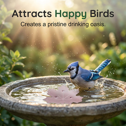🌿Universal Fit Bird Bath Cleaner🐦💦Wildlife-Safe Leaf Purifier for Fresh, Clear Water in Any Garden Basin | Rust-Resistant & Low Maintenance🛡️✨